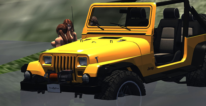 *ThisNThat Wrangler Delivery WEAR