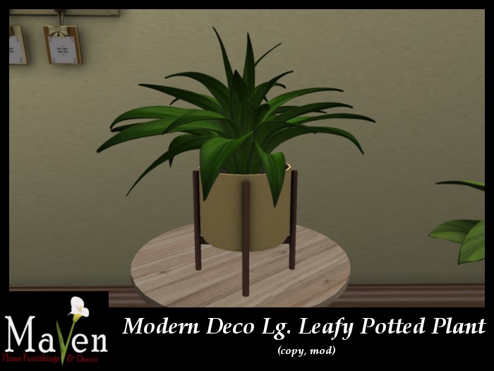 Lg Green Leafy House Plant
