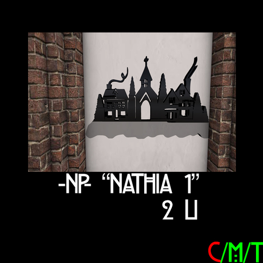 -NP- "Nathia 1" (ADD TO WORN TO UNPACK)