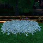 Blue Flower Patch, 1 Prim, Bagged