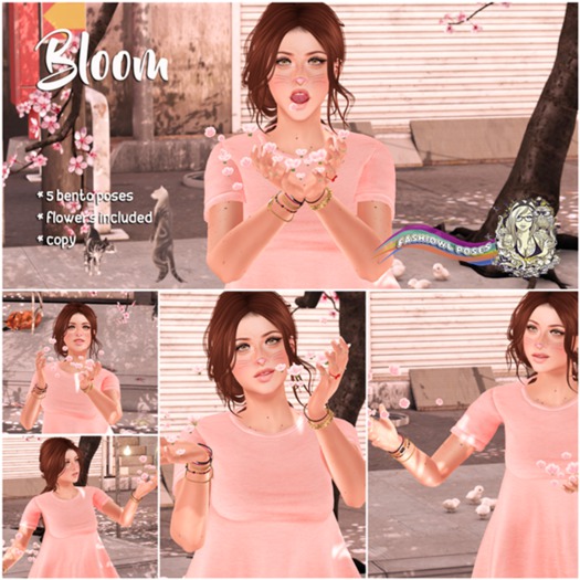 Fashiowl Poses - Bloom // BOX