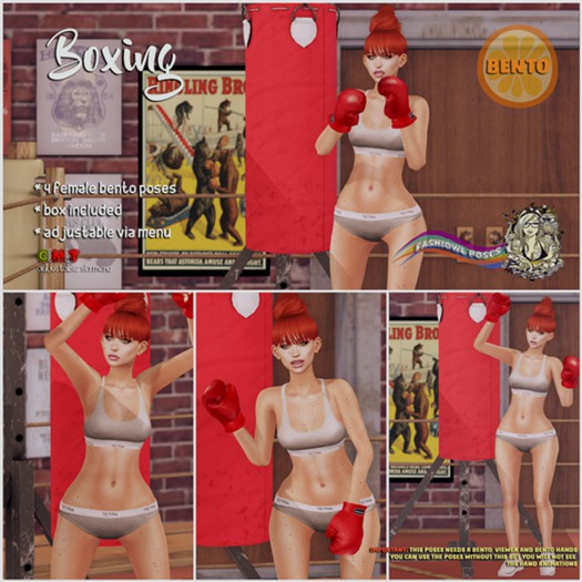 Fashiowl Poses - Boxing - Female BENTO  // BOX