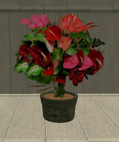 Potted Hawaiian Plant 