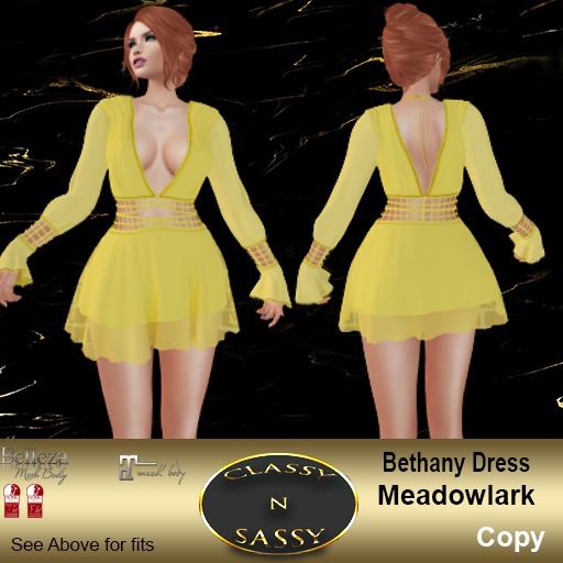 (CNS) Bethany Dress Meadowlark