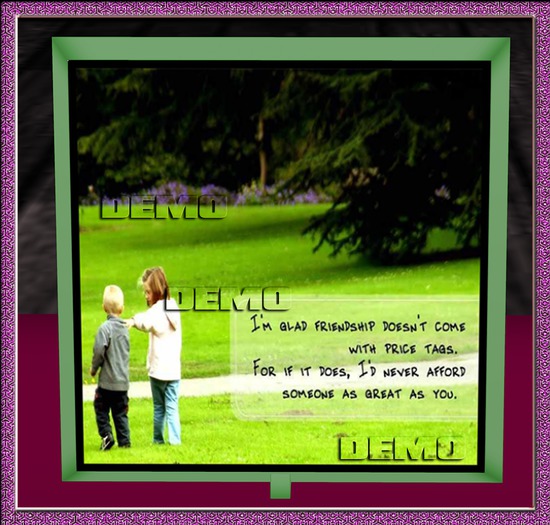 Friendship has no price frame