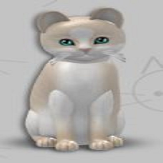 KittyCatS Box - New Born Kitten