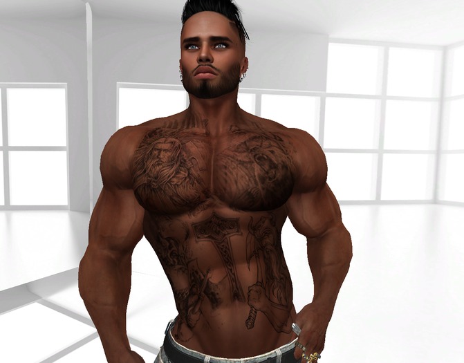 TATTOO HUD Vikinger Mix 1 brust