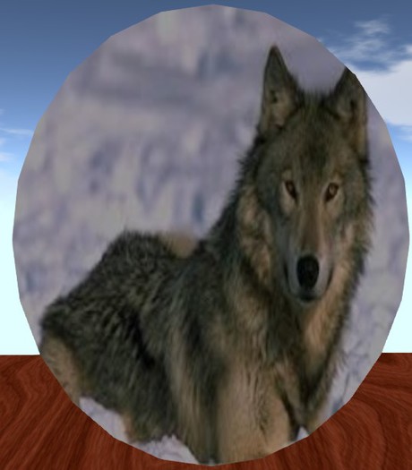 ROUND WOLF RUG 5