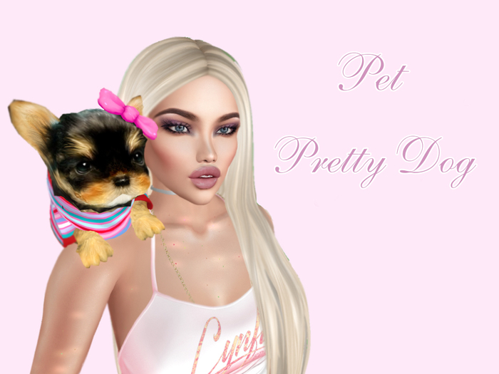 Pet. Pretty Dog