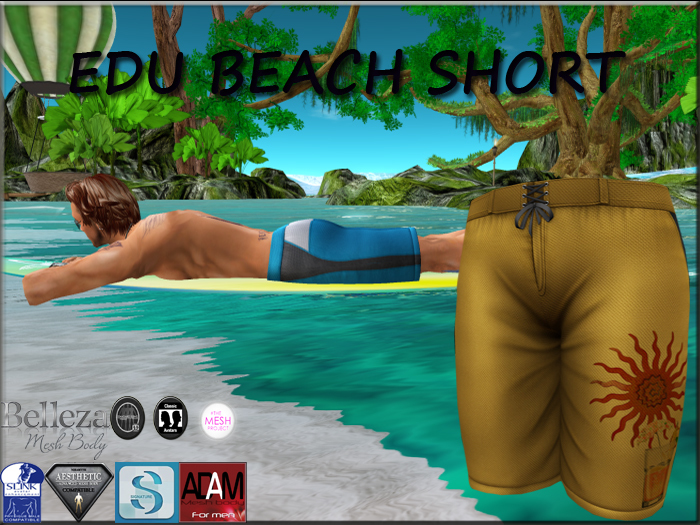 BEACH SHORT EDU SUNNY