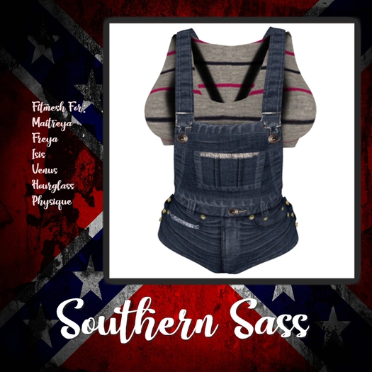 Striped Overall Shorts