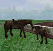 .:GBH:. Wanderer yellowbrown horse set