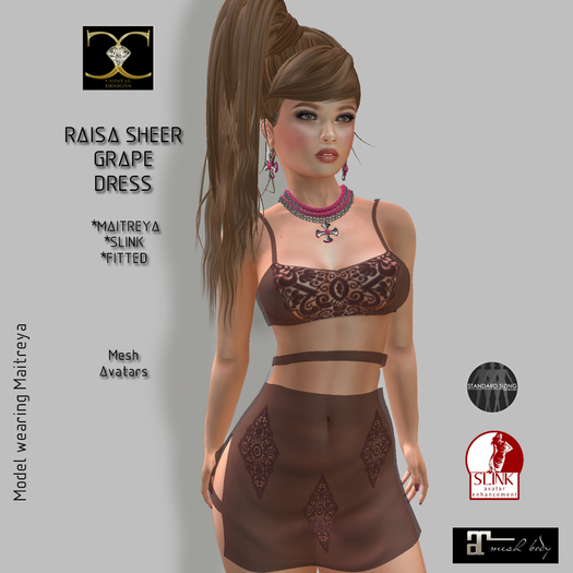 RAISA SHEER GRAPE DRESS
