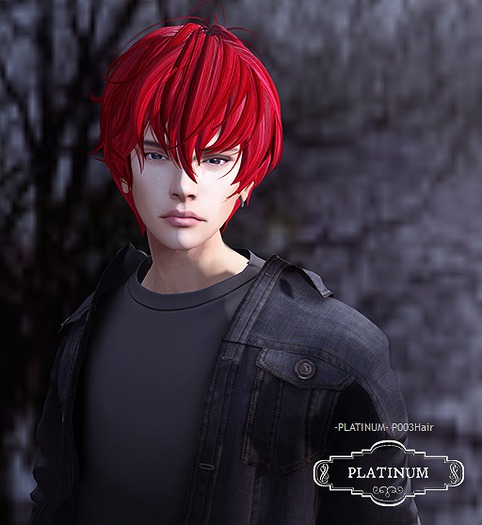 -PLATINUM-P003Hair Blacks