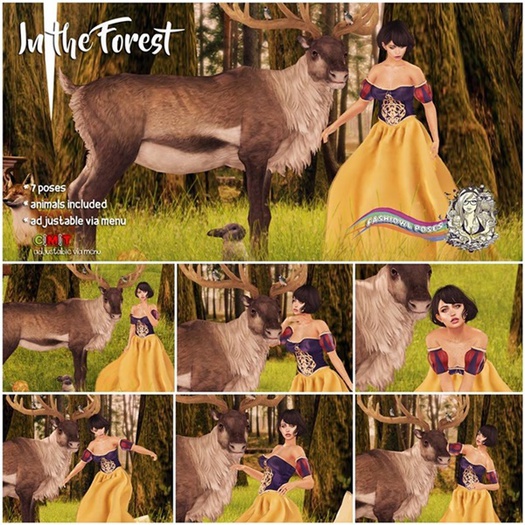 Fashiowl Poses - In the Forest // BOX