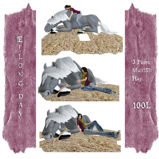 !E - Long Day (Amaretto Horse Poses)