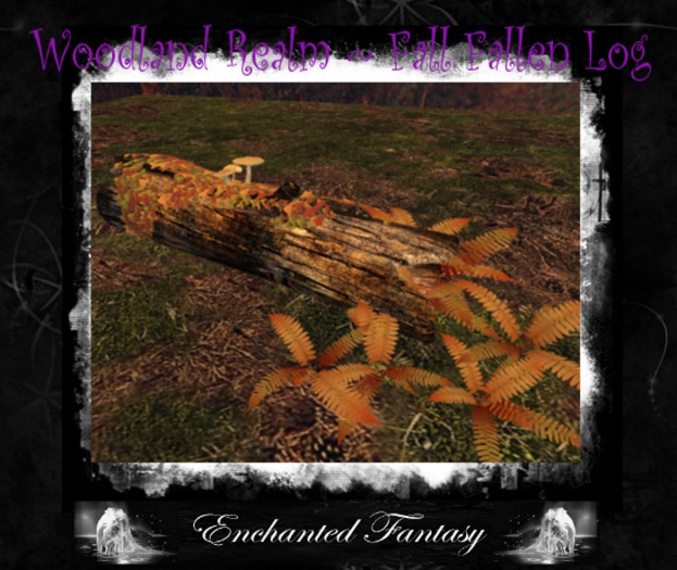 The Woodland Realm Fall Fallen Log
