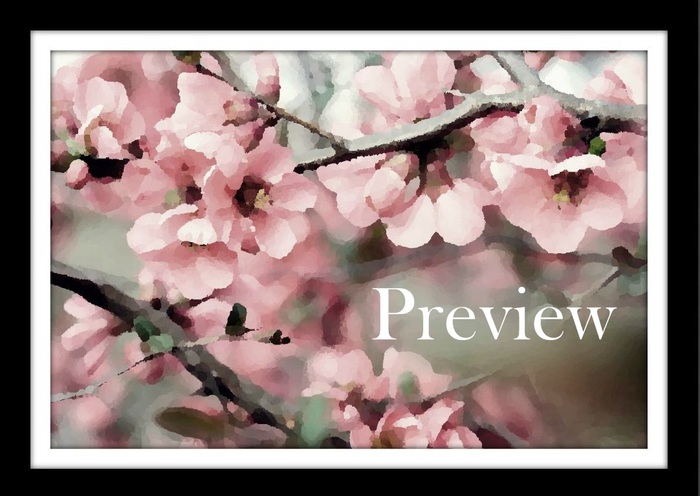 Cherry Tree *Bluemoon Creations Gallery* (scripted - resize and brightness/with shadow) 