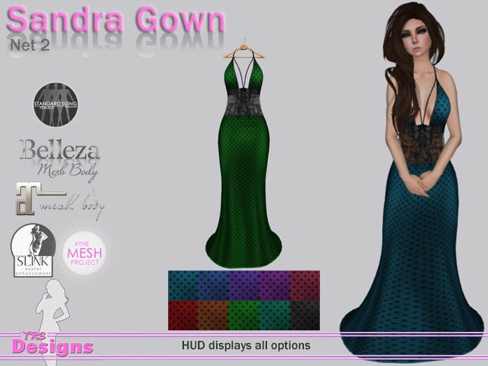 Sandra Gown With Hud Net 2
