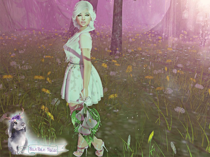 BunBun Poise - Unveiled