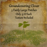 Bad Katz Clover Groundcovering