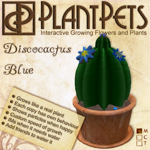 PlantPet Seed [Discocactus *Blue*] Updated