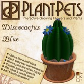 PlantPet Seed [Discocactus *Blue*]