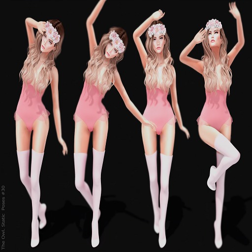 The Owl. Static  Poses #30