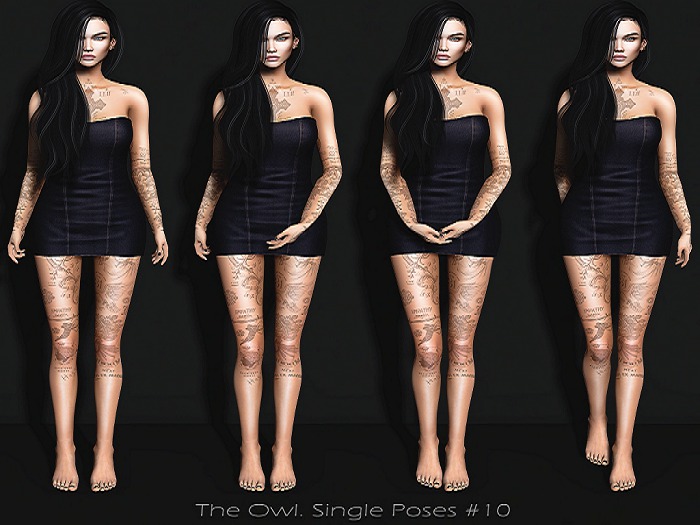 The Owl. Single Poses #10