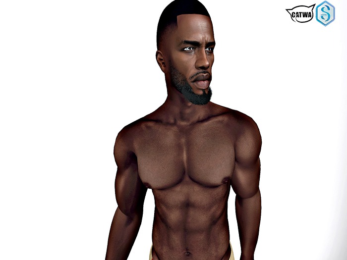 CATWA BENTO STANLEY SHAPE(Black)