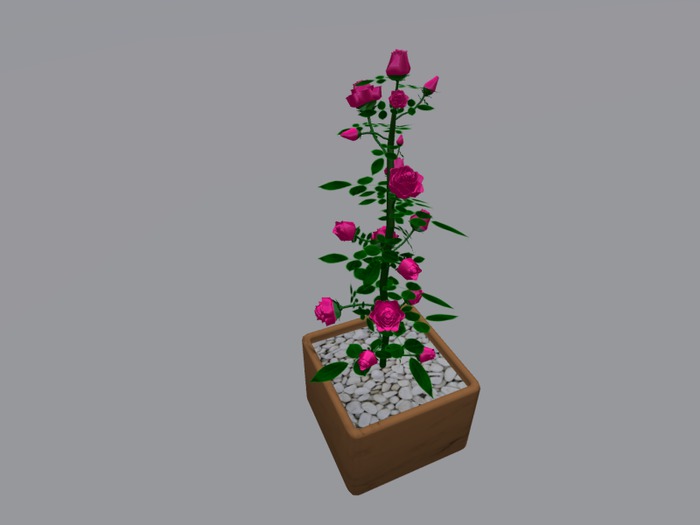 Mesh Pink Rose (3D flowers)(2 version,2li,2prim)