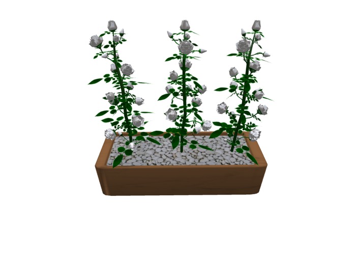 Mesh 3 Roses in pot white