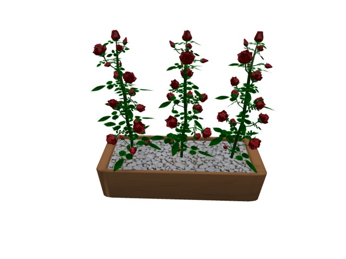 Mesh 3 Roses in pot red