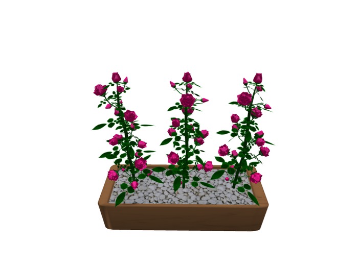 Mesh 3 Roses in pot pink