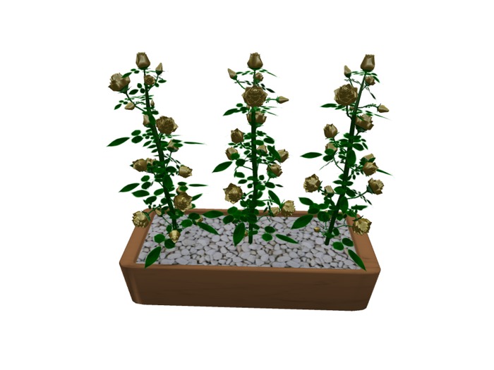 Mesh 3 Roses in pot gold