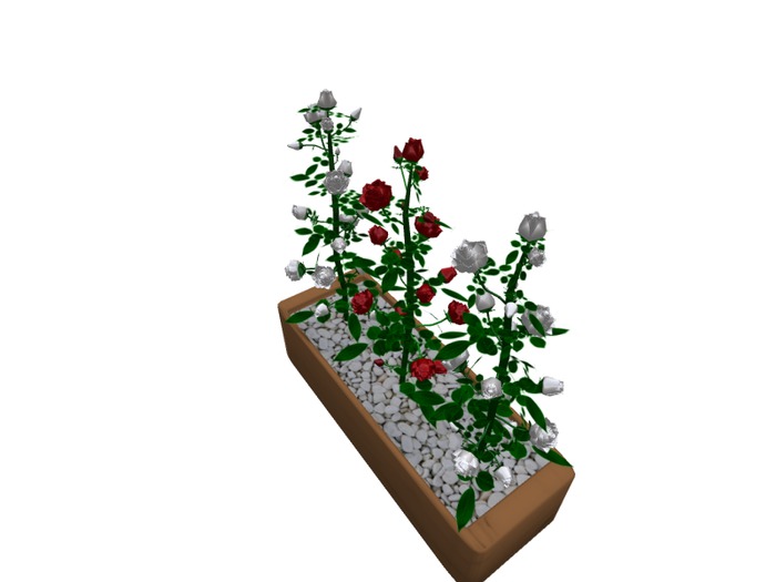 Mesh 3 Roses in pot colors pack