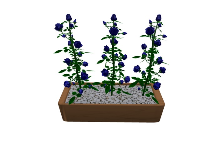 Mesh 3 Roses in pot blue