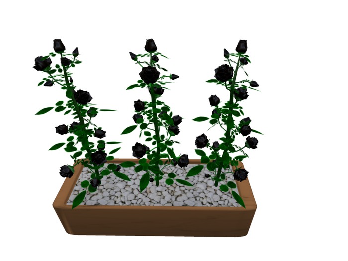 Mesh 3 Roses in pot black