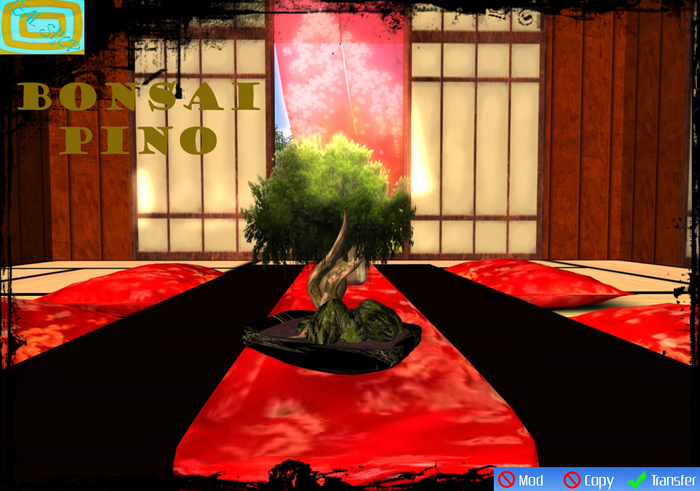 BONSAI PINO [KS] [TEAL SHOP]
