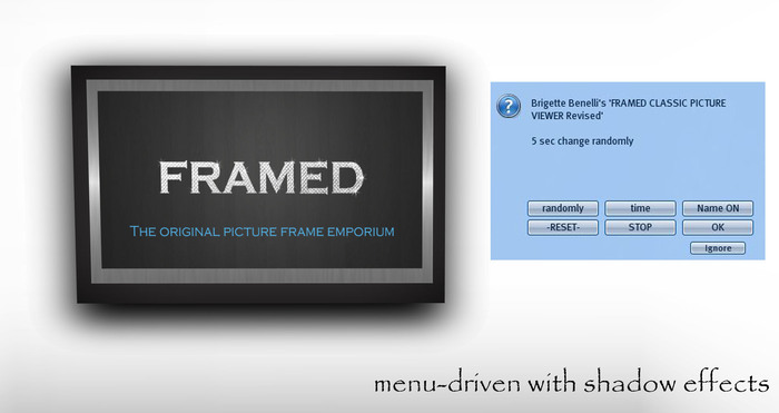 FRAMED PICTURE VIEWER  LARGE FRAME