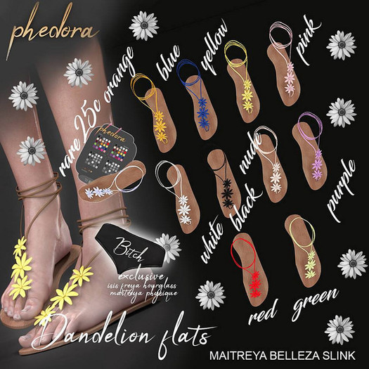 Phedora ~ Dandelion Flat ~ Maitreya purple PACK COMMON