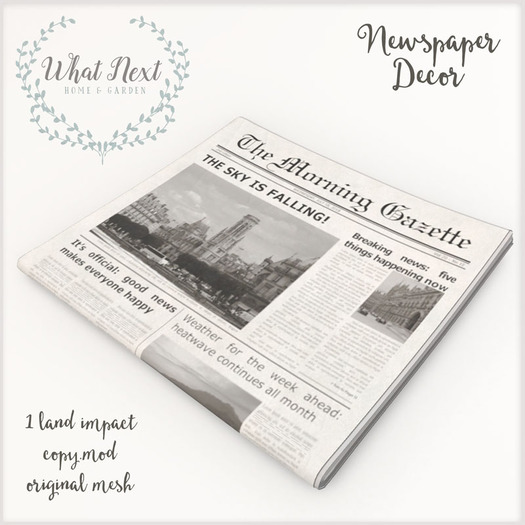 {what next} Camber Newspaper Decor (boxed)