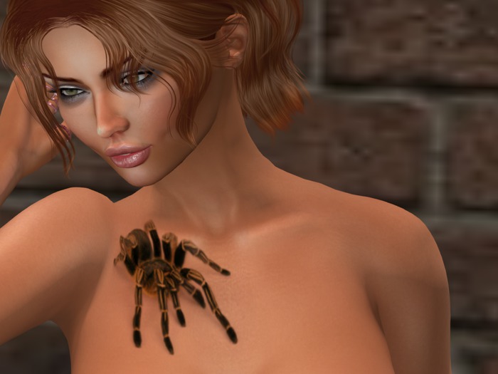 spider vor Maitreya