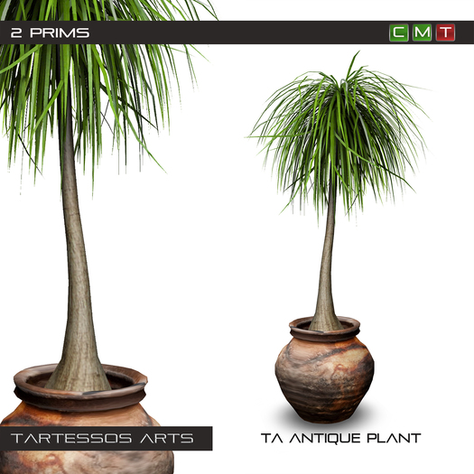 ::TA Antique Plant - Copy