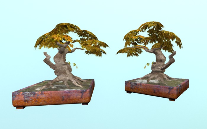 Bonsai Fall tree 28