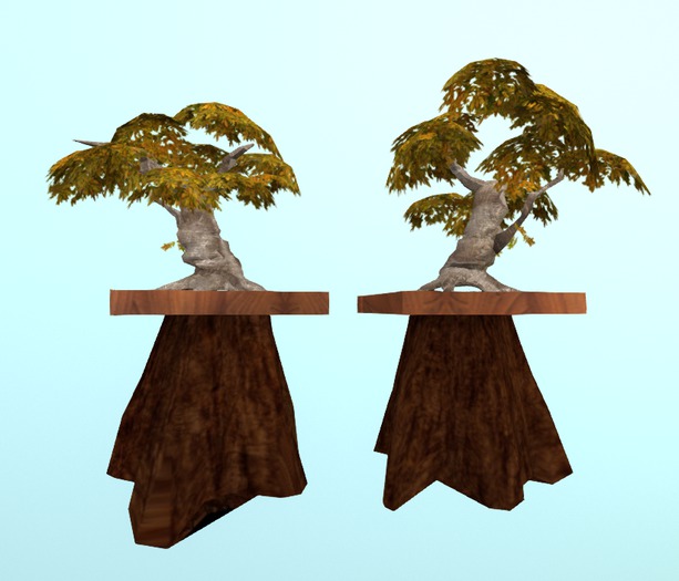 Bonsai_28