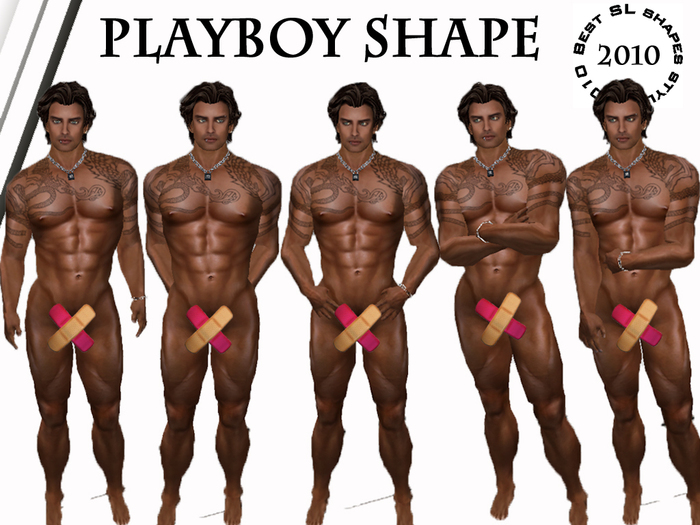 PLAYBOY SHAPE 2010 [AZ] (Boxed) 
