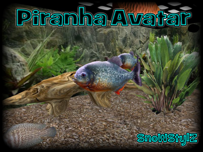 Piranha avatar *SnoWStylZ*