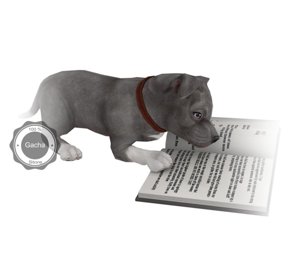 JIAN Playful Pibbles 17. Study Pupper