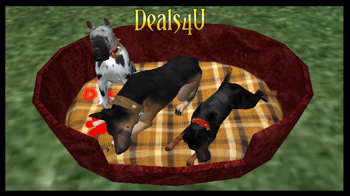 Pure & Rare oYo Bundle - Female Vintage Doberman